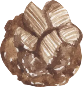 Agate